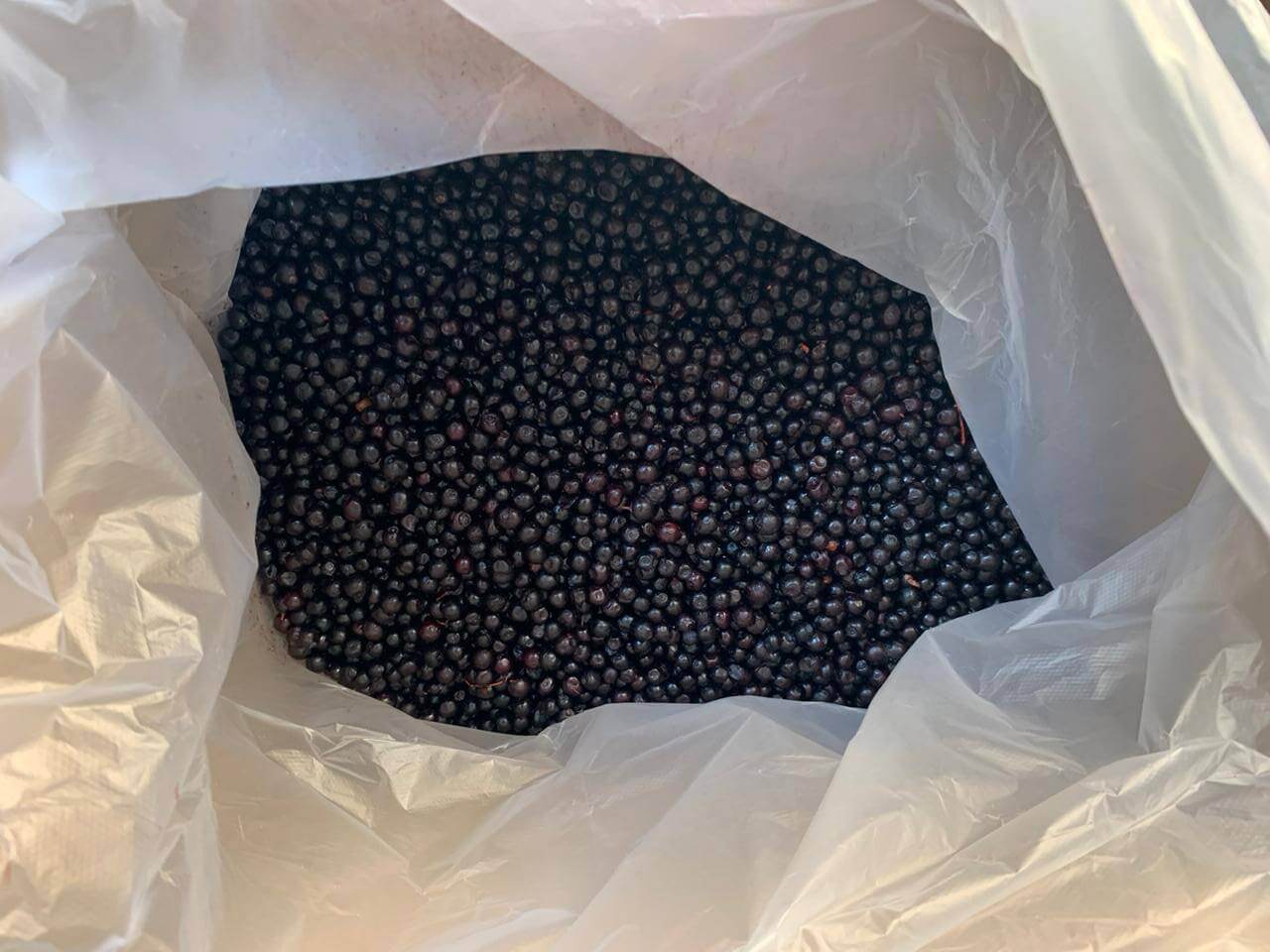 Заморожена чорниця очищена