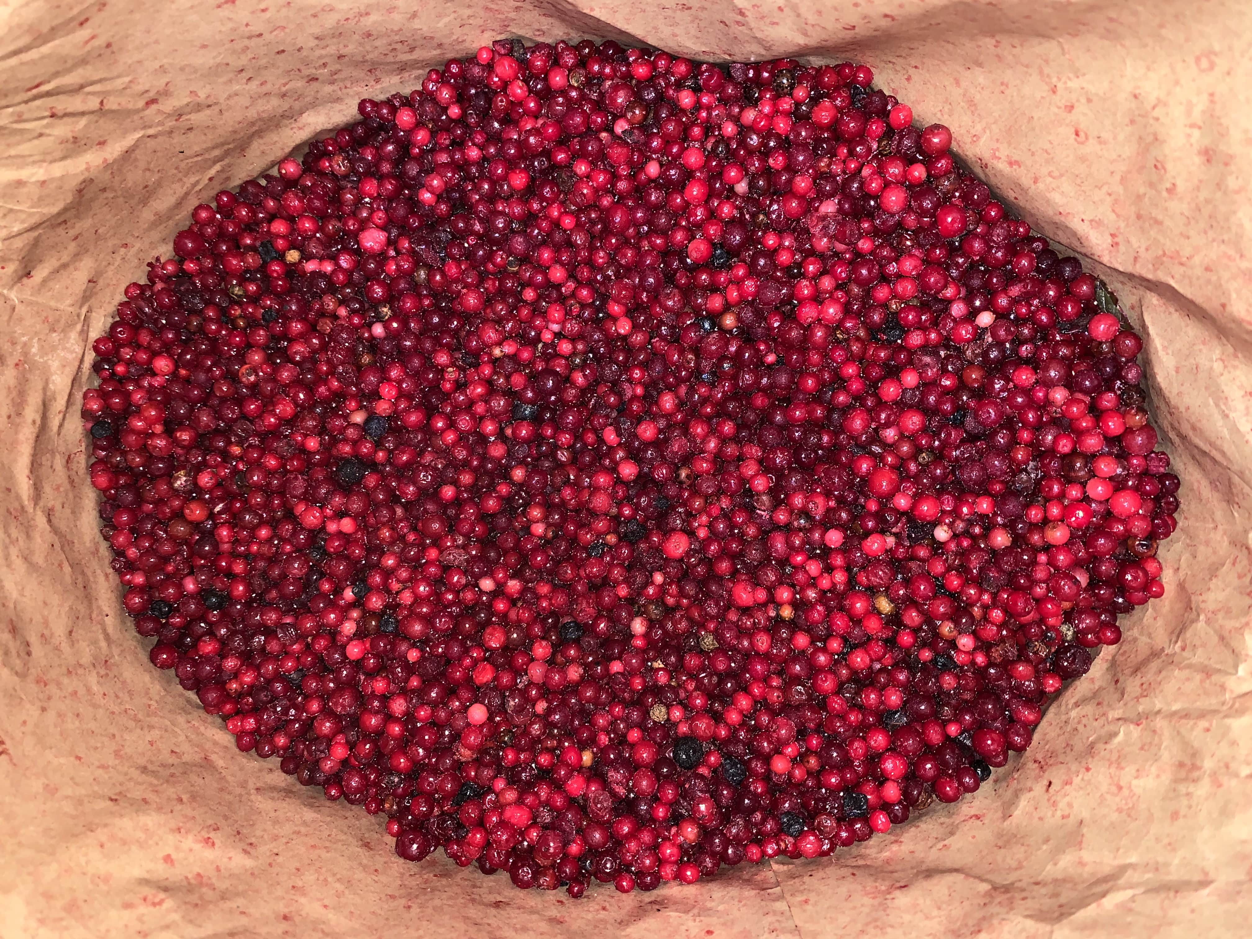 Заморожена брусниця очищена